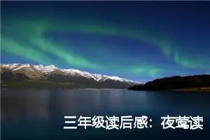 三年级读后感：夜莺读后感言_作文450字_小学生读后感