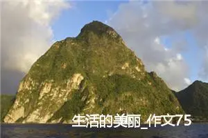 生活的美丽_作文750字_初中议论文作文