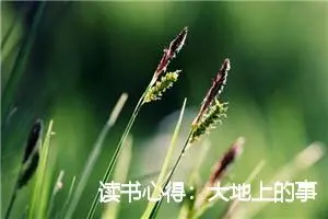 读书心得：大地上的事情读后感500字_初中读后感作文