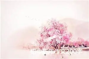 初中新年作文200字两篇_初中节日作文