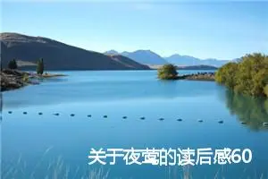 关于夜莺的读后感600字_小学生读后感