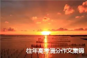 往年高考满分作文集锦_高考满分作文
