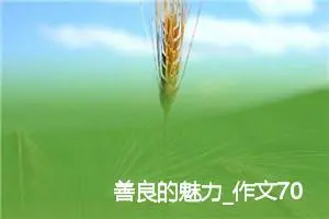 善良的魅力_作文700字_初中综合作文