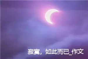 寂寞，如此而已_作文600字_高中作文范文