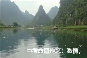中考命题作文：激情，在心中点燃_作文800字_中考命题作文