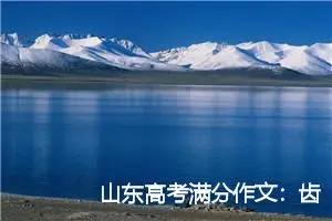 山东高考满分作文：齿轮_高考满分作文