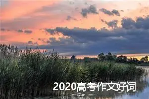 2020高考作文好词好句摘抄_作文2650字_高考作文指导
