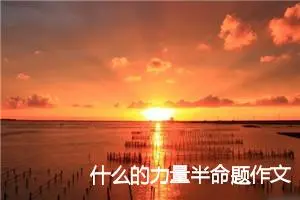 什么的力量半命题作文800字5篇_中考半命题作文