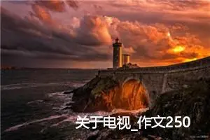 关于电视_作文250字_高中作文范文