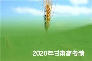 2020年甘肃高考满分作文：说格局_高考满分作文