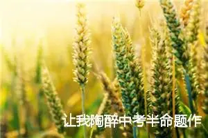 让我陶醉中考半命题作文范文_作文750字_中考半命题作文