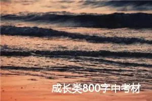 成长类800字中考材料作文:我们一起走过_中考材料作文