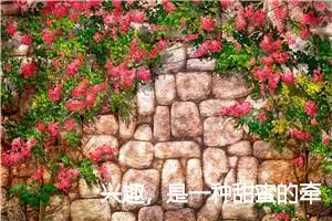 兴趣，是一种甜蜜的牵引_作文700字_初中综合作文