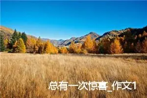 总有一次惊喜_作文1150字_初中综合作文