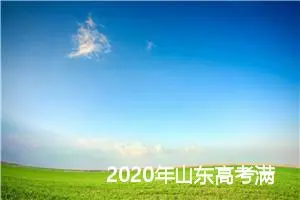 2020年山东高考满分作文：我的行囊_高考满分作文