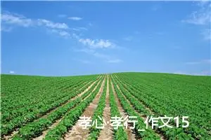 孝心·孝行_作文1500字_高中优秀作文