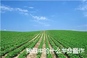 我眼中的什么半命题作文_作文1800字_中考半命题作文