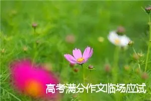 高考满分作文临场应试高招_高考满分作文