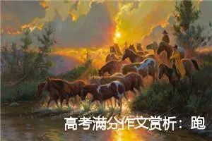 高考满分作文赏析：跑什么，前面也下着雨哪_高考满分作文