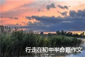行走在初中半命题作文4篇_中考半命题作文