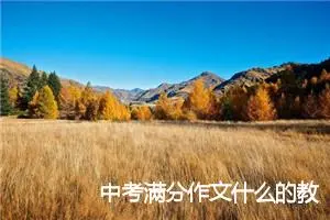 中考满分作文什么的教训650字_中考半命题作文