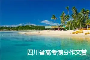 四川省高考满分作文赏析：若老实与聪明兼具_高考满分作文