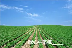我心中的那_____作文750字_初中综合作文