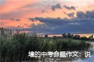 墙的中考命题作文：说墙_作文600字_中考命题作文