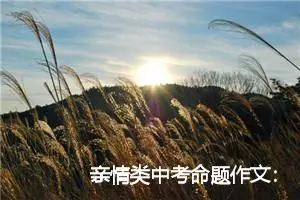 亲情类中考命题作文：家庭的温馨_作文600字_中考命题作文