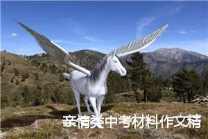 亲情类中考材料作文精选：父爱，一生的财富_作文600字_中考材料作文