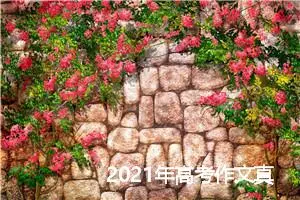 2021年高考作文真题预测：白纸_作文1750字_高考作文