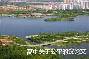 高中关于公平的议论文800字_高中议论文作文