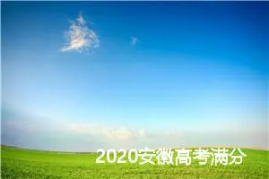 2020安徽高考满分作文：距离，让你我更美_高考满分作文