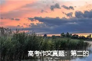 高考作文真题：第二的价值_作文550字_高考作文