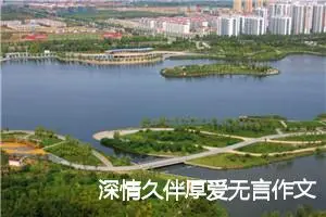 深情久伴厚爱无言作文800字_高三作文