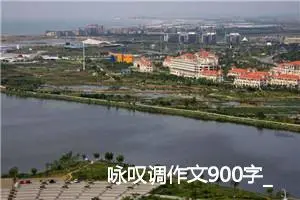 咏叹调作文900字_高三作文