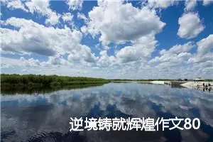 逆境铸就辉煌作文800字_高三作文