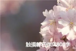 触摸磐石作文800字_高三作文