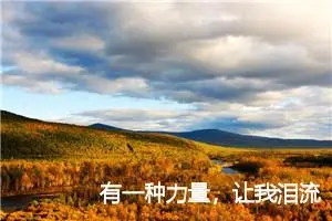 有一种力量，让我泪流满面作文800字_高二作文
