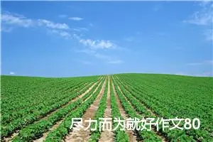 尽力而为就好作文800字_高三作文
