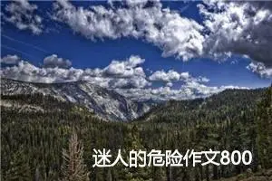 迷人的危险作文800字_高三作文
