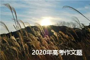 2020年高考作文题预测及范文:“破茧成蝶在那一年”_作文2150字_高考作文预测
