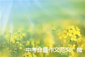 中考命题作文范文：微笑容易_作文700字_中考命题作文