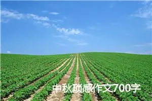 中秋琐感作文700字_高三作文