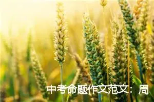 中考命题作文范文：周庄让我陶醉_作文500字_中考命题作文