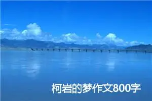 柯岩的梦作文800字_高三作文
