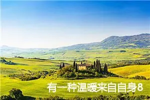 有一种温暖来自自身800字作文_高二作文