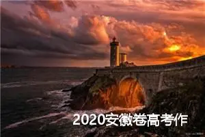 2020安徽卷高考作文题目:当自己被欺骗时_高考零分作文
