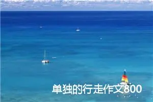 单独的行走作文800字_高一作文