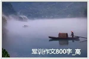 军训作文800字_高一作文